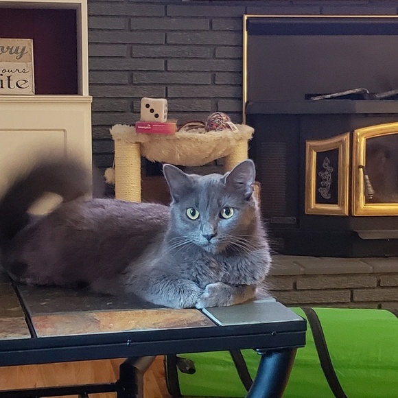 Meet your Posher, Megan! - Picture 7 of 7